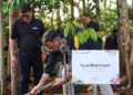 Indosat Tanam Pohon di IKN, Perkuat Implementasi Konsep Kota Hijau Nusantara